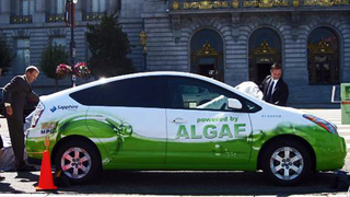 Algae-Powered Hippie Car Attempts Cross-Country Trek On 25 Gallons Of Biofuel